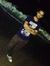 Rajat D...