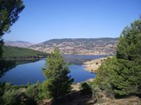 حسن المحمدي