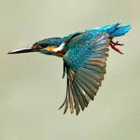 അഭിജിത്ത് കെ.വി