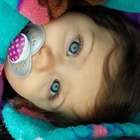 Donna Meyerhoeffer kinsey