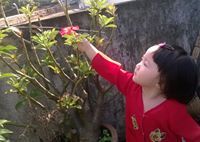 Phan Cong
