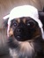 Bailey ...