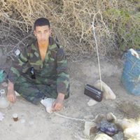 صقر الصحراء