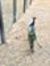 Tarek H...