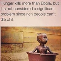 കാട്ടു കടന്നൽ