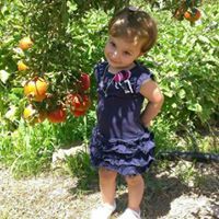 حمزة النتشة