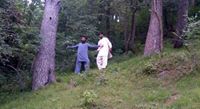 Tayyab Tayyab