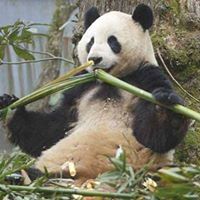 ফারিহাল তাসকিন