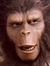 Bruno N...