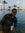 Wael Adel