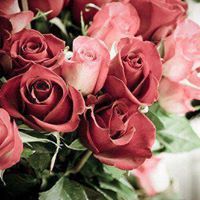 الحرة الدمشقية