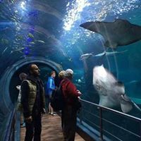 Stratigopoulos Nikos