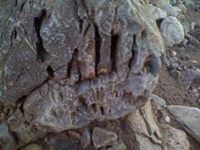 سعيد أوباعي