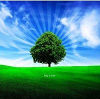 املاك عقارات