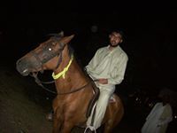 Usman Arif