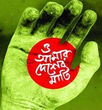 আমিই মিসিরআলী