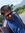 Jayanth...