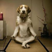 Elefteria Kalaitzakis