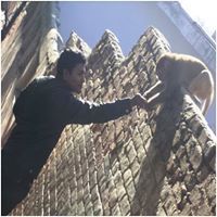 Nilesh Kumar