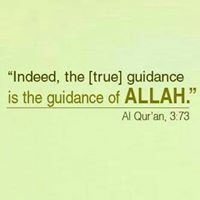 Syed Alam
