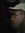 Wayne | 2 comments