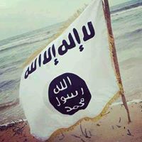 محمد أبوطالب