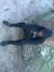 Abdul C...