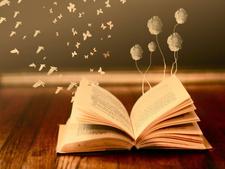 Y.A. Book Nerds Book