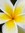Michelle Hendricks | 32 comments