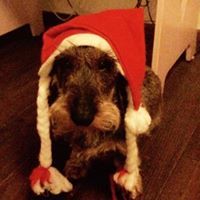 Lydia Van der graaff