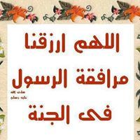 محمد ابوالنور