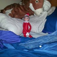 Tricia Mcdevitt ortiz