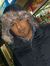 Reyad H...