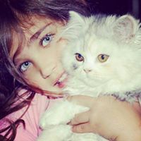 كوكتيل للبرودكاست