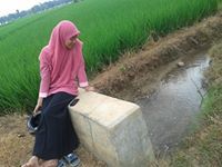 Istye Wae