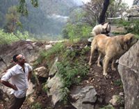 Sumit Chahal