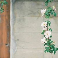 نور أبوعيسى