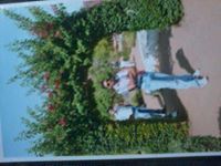 Ramesh Babu