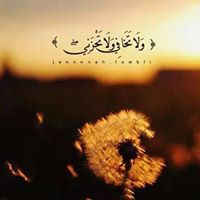 Wala'a Abu-rroos