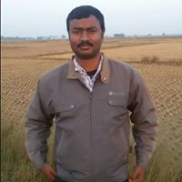 Partha Sarathi
