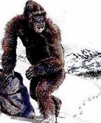 Bipedalist Squatchinone