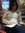 Arwa Turkestani (arweeta) | 1 comments