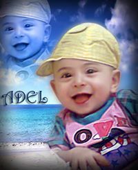 عمرو الحديدى