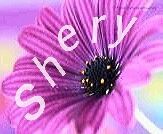 Shereen Mohamed abd elbaky