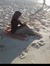 Nora Samy