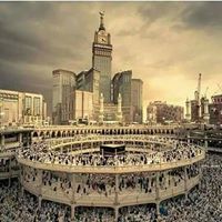 محمد الحاسي