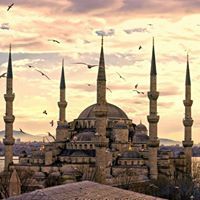 يوسف عبدالله