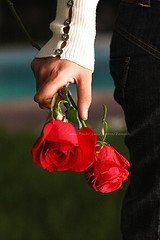 اشراق الانباري