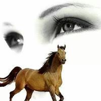 Mahmoud Soliman zaed