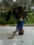 Aditya ...